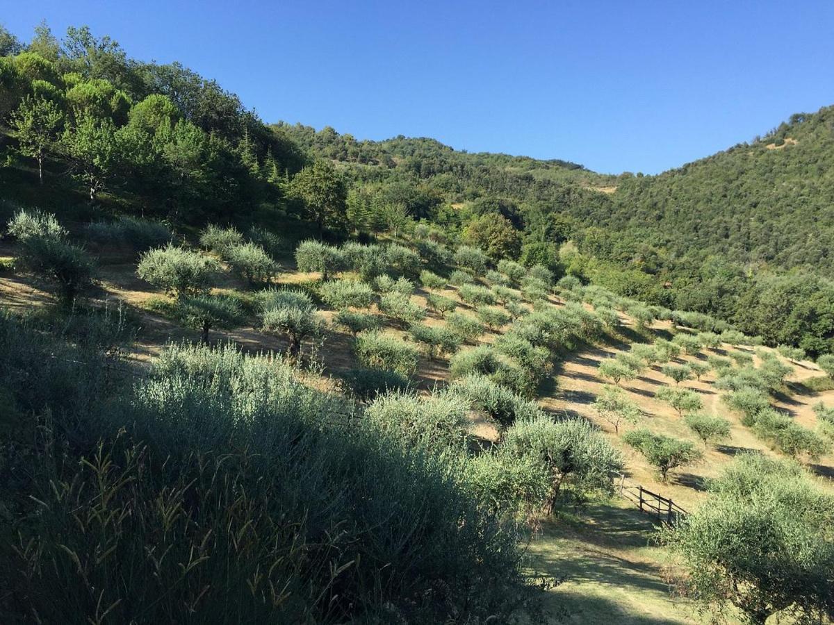 Agriturismo La Fonte Περούτζια Εξωτερικό φωτογραφία